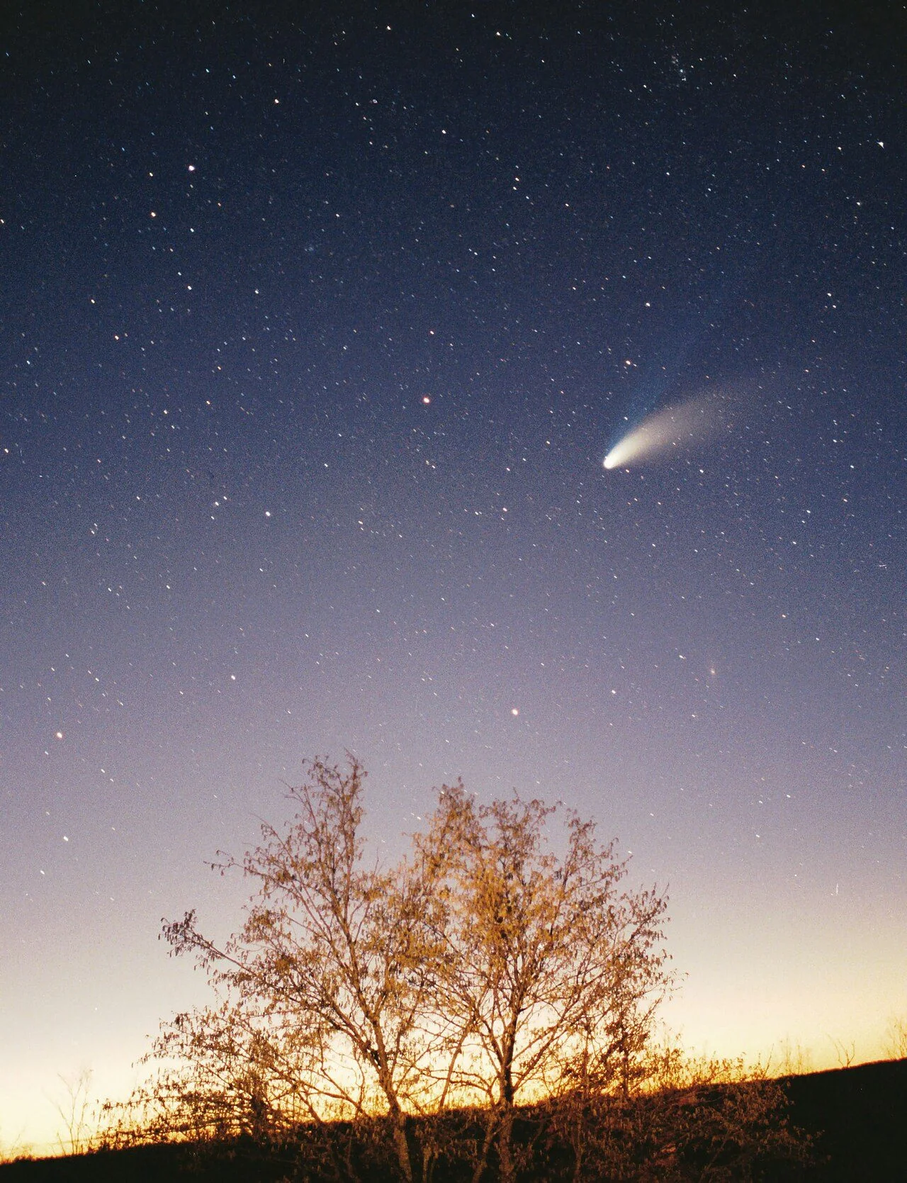 Ce ne spun cometele și asteroizii despre începuturile Pământului