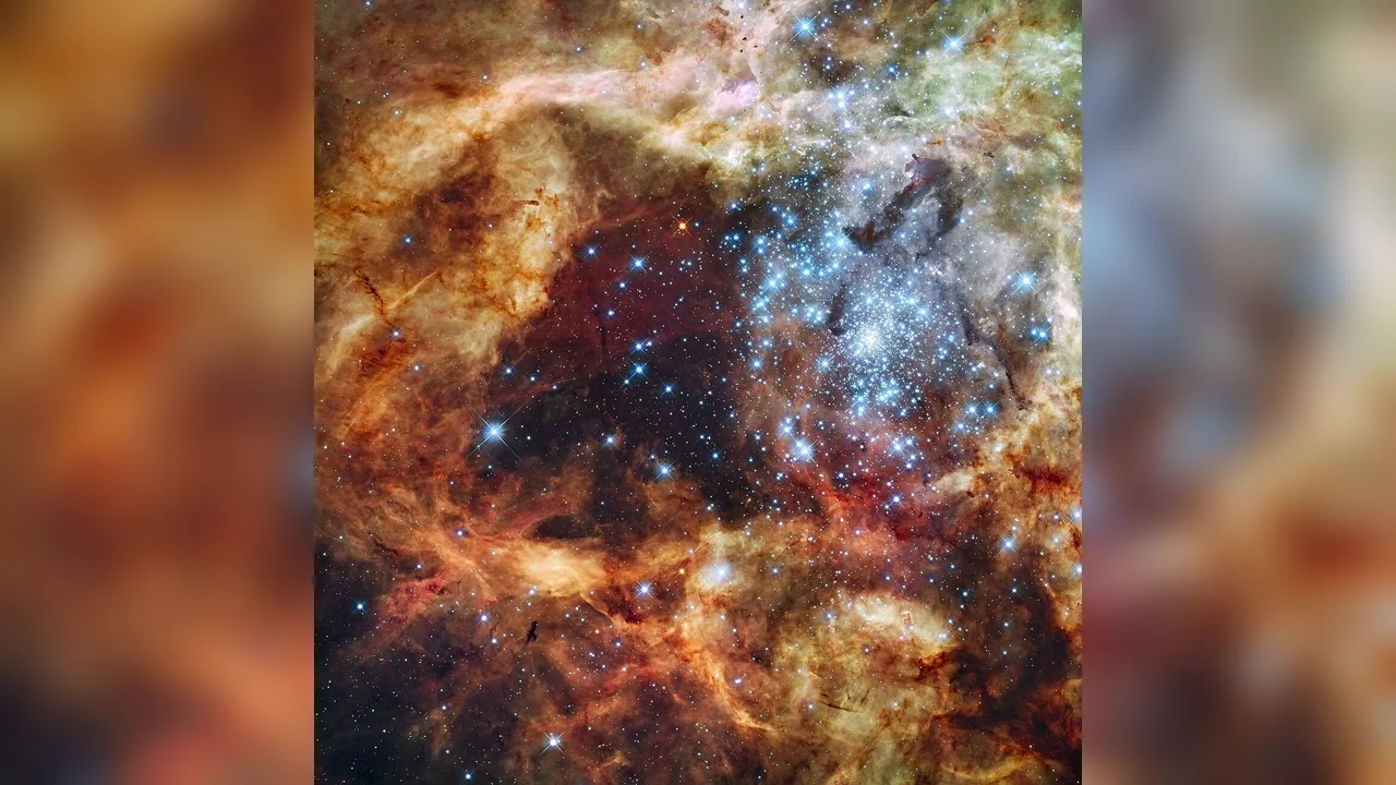 Plan de 31 de zile pentru a înțelege cerul de vară în 2026